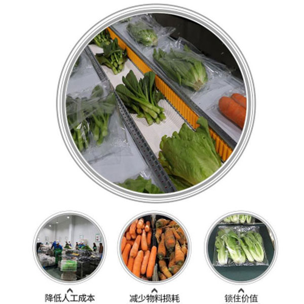 全自動包裝機(jī)展示